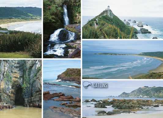 Postcards NZ Large